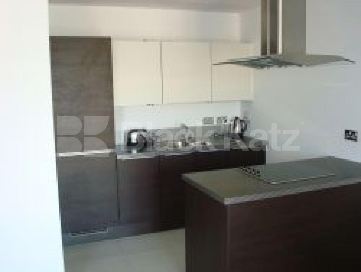 			New Instruciton, 1 Bedroom, 1 bath, 1 reception Flat			 Oval Road, Camden